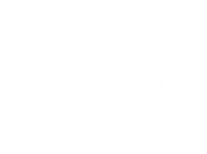 VIT Footer Logo